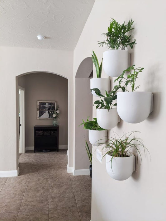 Indoor wall planter